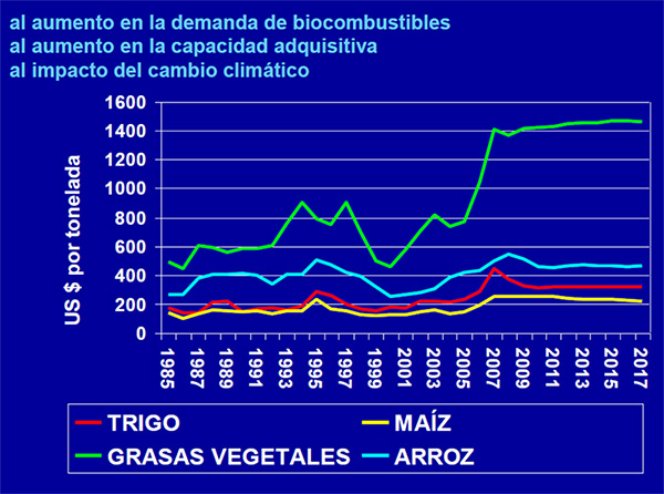 Figura 3. El precio de los alimentos permanecerán altos durante la próxima década...