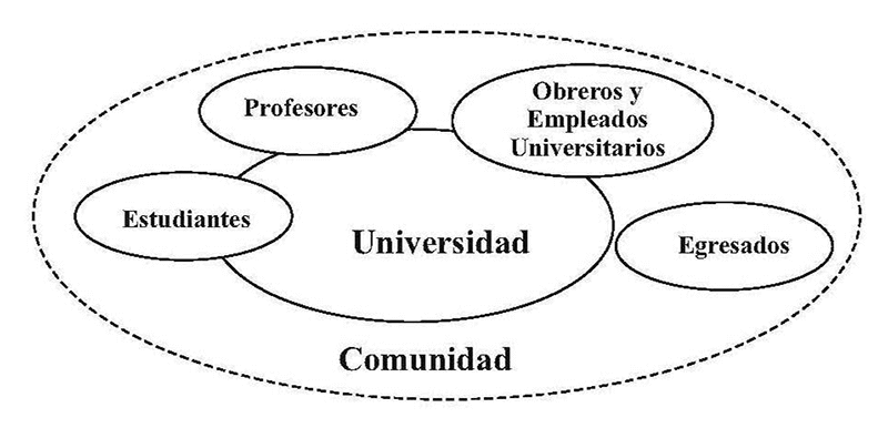 Gráfico 4. Actores que participan en la conceptualización y dinámica de la Universidad