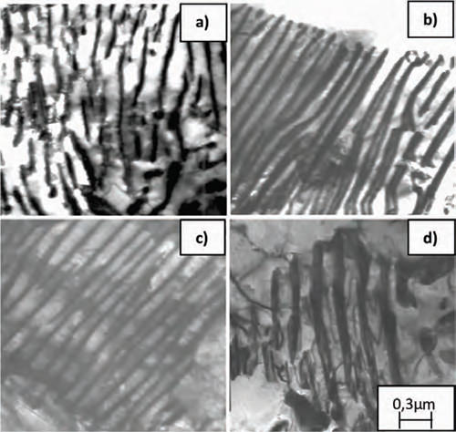 Figura 11. Micrografías por MET de las muestras de acero laminado en caliente (SL): a) b) Sin Nb y c) d) con Nb, donde se observan detalles de la perlita (1cm ≈ 0,3µm).
