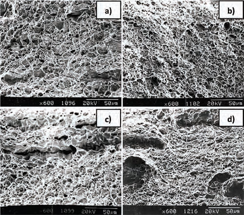 Figura 14. Fractografias por MEB mostrando la superficies de la probetas del acero de la sección longitudinal: a) Sin Nb, b) con Nb y sección transversal: c) Sin Nb y d) con Nb. Nótese la presencia de microhoyuelos en todas las superficies, así como la coalescencia de los mismos.