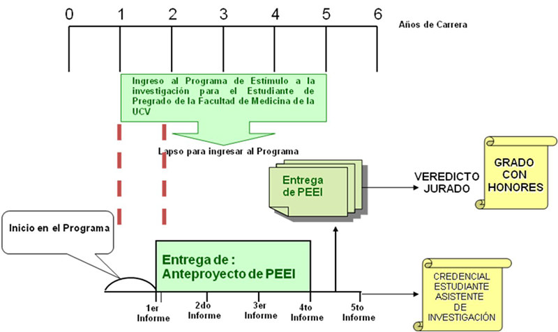 Figura 3. Descripción del PEEI.