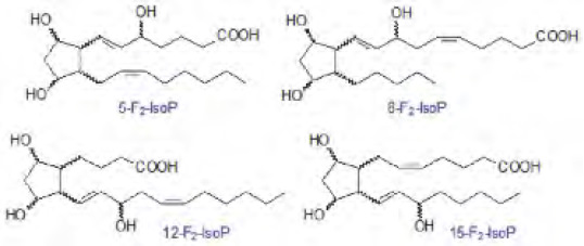 Figura 4. Productos de la peroxidación del AA. Fuente Morrow et al. 1987.