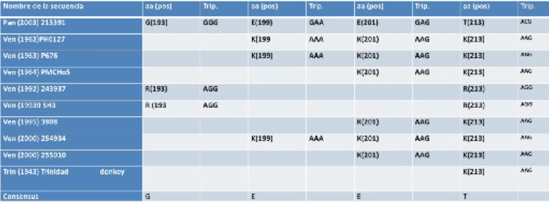 Tabla 1. Cepas virales del complejo VEE IC seleccionadas para el estudio. Se muestran 8 cepas epizoóticas aisladas en Venezuela entre 1962 y 2000, una cepa Enzoótica ID (Panamá 213391) y la cepa Trinidad Donkey (1937), como Referencia Epizoótica. Todas las mutaciones ocurrieron en el 1er o segundo nucleótido e involucraron la aparición de aminoácidos (aa) con carga positiva, en sustitución de aa neutros o con carga negativa de la secuencia consenso.