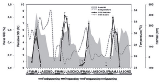 Figura 1. Variación anual de las precipitaciones, la temperatura y el Índice Gonadosomático (GSI) de Pygocentruscariba durante el ciclo reproductivo en los llanos venezolanos (tomado de Guerrero et al. 2009).