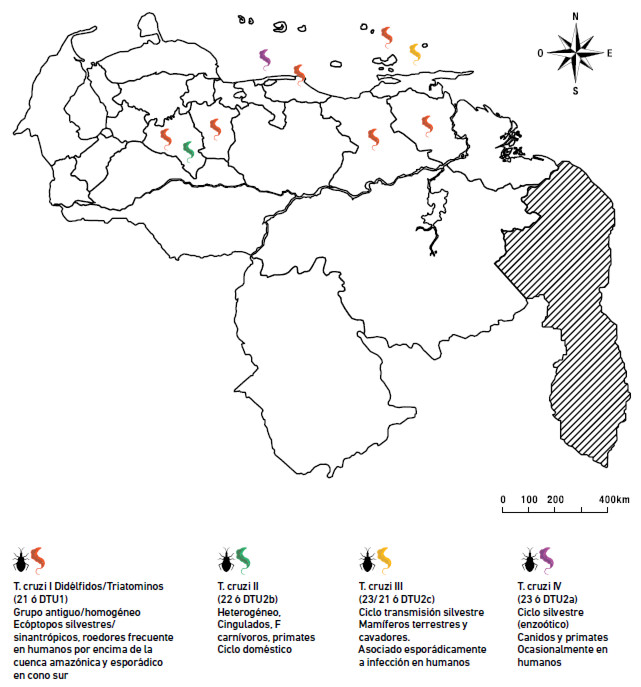 Figura 2