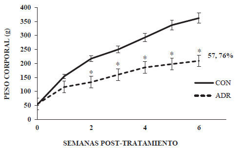 Gráfico 1 Peso corporal promedio de las ratas SpragueDawley en función de las seis semanas post-tratamiento. Se observa una disminución estadísticamente significativa en la ganancia de peso corporal del grupo ADR, respecto al del grupo CON, de 57,76% a las seis semanas. CON: control; ADR: adriamicina (6 mg/kg p.c.). Los valores están expresados como la media ± DE p.c. de tres experimentos independientes con dos réplicas cada uno. La significancia estadística de las diferencias fue establecida por la prueba t-Students (*). Un valor P<0,05 se consideró como estadísticamente significativo.