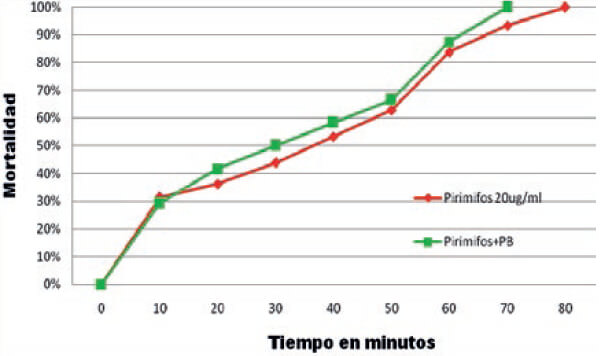 Figura 3 Tendencia de los datos tiempo-mortalidad en adultos de Anopheles nuneztovari s.l. expuestos a pirimifosmetil y butóxido de piperonilo, Las Manacas, municipio Sifontes, estado Bolívar.