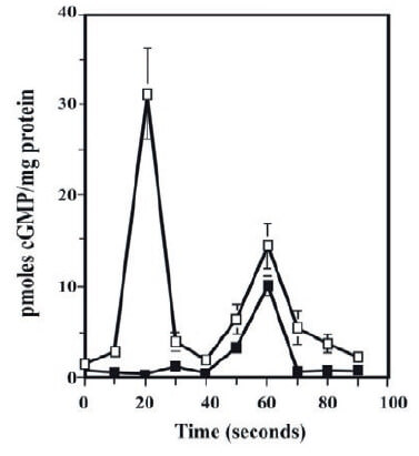 Figure 1. Time course of cGMP signals induced by muscarinic- agonist- Cch at BASM in the presence of ODQ. Bovine airway smooth muscle (BASM) strips were pre-incubated for 30 min at 37ºC with 100 nM ODQ a selective inhibitor of NO-sGC (■) or without ODQ (□). After this time, Cch (1x10-5M) was added and samples were removed at each specific times and processed to determine cGMP as described (Guerra de González et al., 1999). The cGMP and total cellular protein determinations were carried out by triplicate. Each value is the mean ± SE of 4 different BASM preparations. Taken and modified from (Guerra de González et al., 1999).