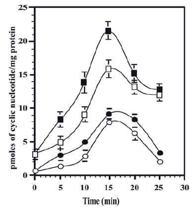 Figure 8.
The time course of vinpocetine and atropine on the cyclic nucleotides
levels at BASM. Bovine ASM were incubated at different times in
the presence of 20 μM vinpocetine (■,●) and 10 μM atropine (□,○) as
described (Mastromatteo-Alberga et al., 2016). The squares symbols
denote cAMP and the circles symbols are the cGMP tissue levels.
Each value is the mean ± S.E.M. of three different BASM preparations
and the cyclic nucleotides were determined by triplicate. Taken from
(Mastromatteo-Alberga et al., 2016).