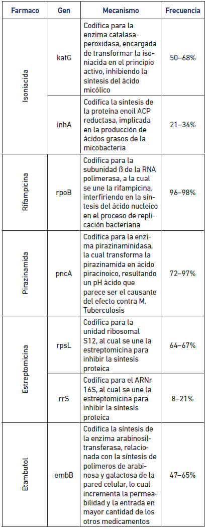 Tabla 2 Mutaciones responsables de la resistencia a drogas antituberculosas (Tricona y col., 2008).