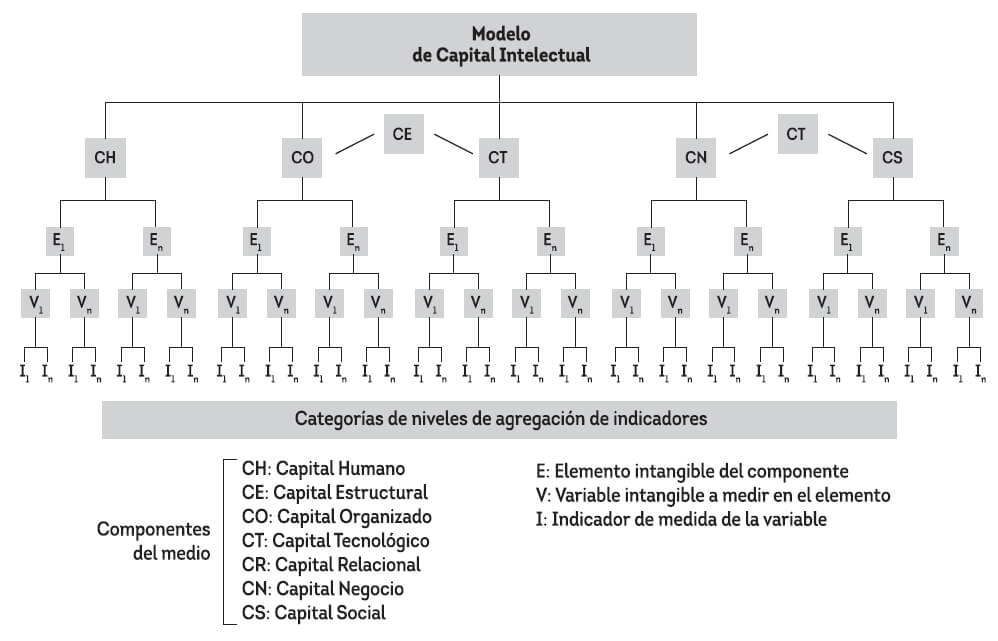 Figura 2: Modelo INTELLECTUS