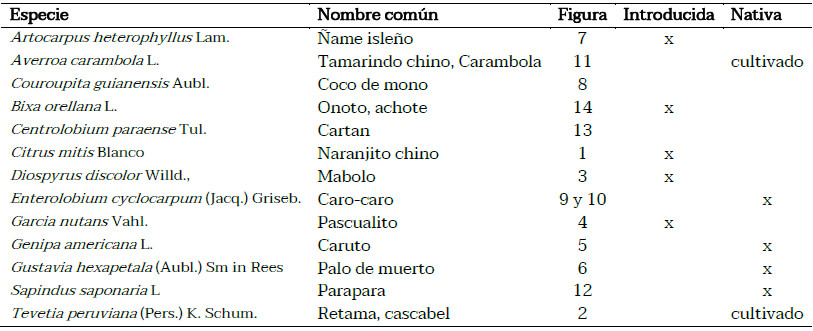 Tabla 1. Publicaciones de acuerdo al área de investigación.