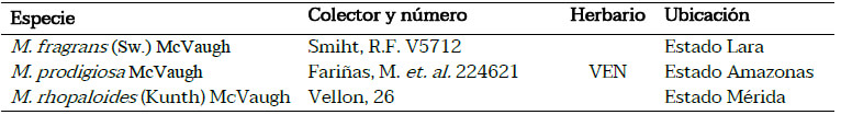 Tabla 1. Especies estudiadas del género Myrcianthes.