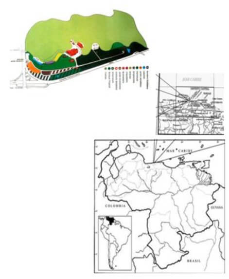 Figura 1. Ubicación del área de estudio.