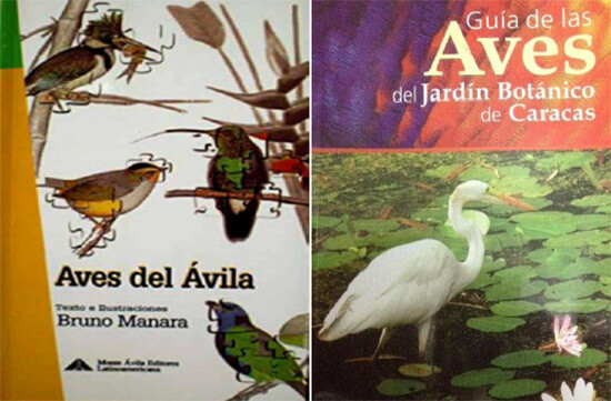 Publicaciones sobre aves del profesor Bruno Manara.