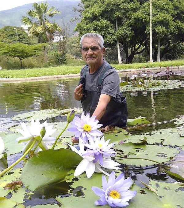 Profesor Justiniano Velásquez en la Laguna Venezuela. Jardín Botánico de Caracas