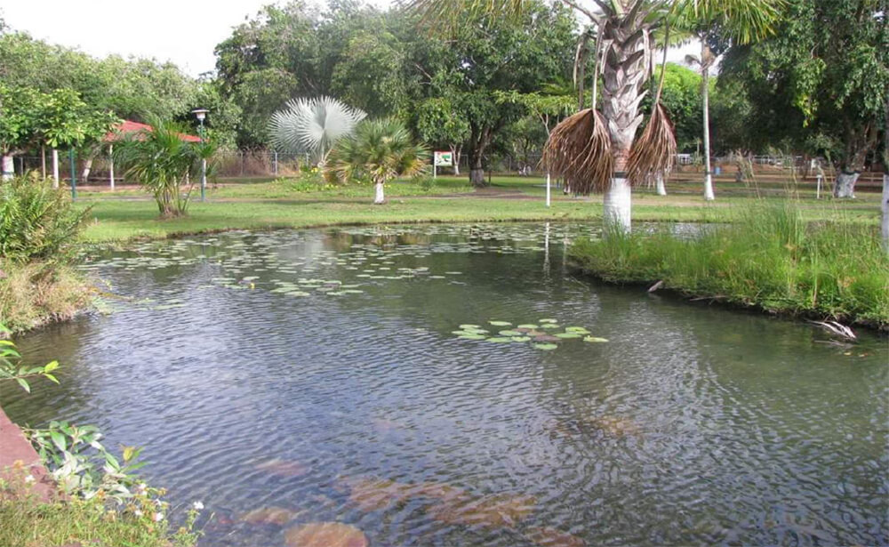 Centro Didáctico Ambiental - San Tomé. Edo. Anzoátegui. Venezuela