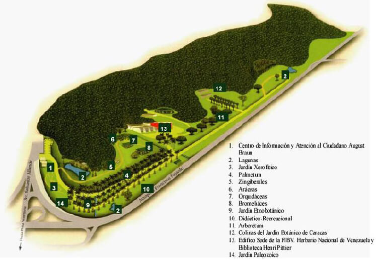Figura 4. Plano Jardín Botánico. UCV, 2019.