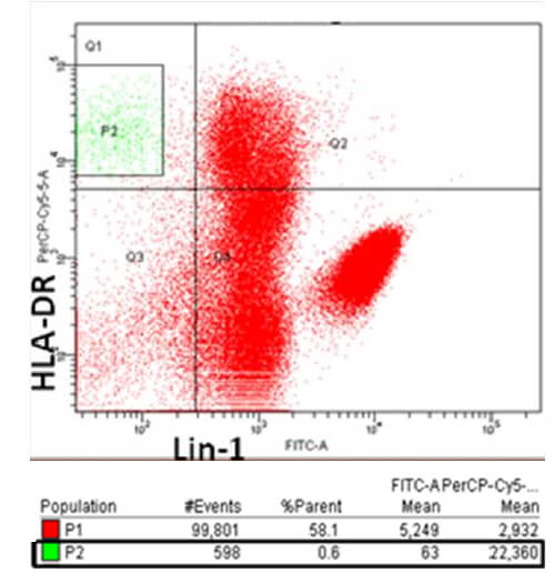 Figura 2. Citograma de fluorescencia obtenido por citometría de flujo de sangre periférica. Las células se caracterizaron empleando anticuerpos anti-HLA-DR acoplado a PerCP y anti-Lin-1 acoplado a FITC. Se muestra el 100% de los eventos adquiridos de la población P1 (color rojo) y la población P3 (color verde) que representan las CDs (células positivas para HLA-DR y negativas para Lin-1).