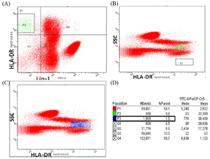 Figura 4. Citogramas de dispersión obtenidos por citometría de flujo de sangre periférica. Se muestra el 100% de los eventos adquiridos. (A) Citograma de fluorescencia anti-HLA-DR PerCP/Lin-1 FITC, P2 (color verde) = CDs totales. (B) Citograma de fluorescencia SSC (granularidad)/anti-HLA-DR PerCP localizando la P2. (C) Citograma de fluorescencia SSC (granularidad)/ anti-HLA-DR PerCP, P3 (color azul)= población enriquecida de CDs HLA-DR+ Lin-. (D) Cuadro de estadística mostrando número de eventos adquiridos (#Events), proporción de células (%Parent) y media de fluorescencia de cada fluorocromo (FITC y PerCP mean).