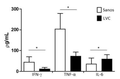 Figura 2. Producción de citocinas en cultivos de linfocitos de caninos con Leishmaniasis visceral (LVC) y perros sanos estimulados con PHA. * p<0,05.