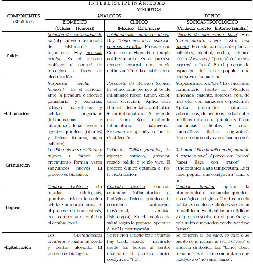 Tabla 1. Modelo para el tratamiento de leishmanaisis cutánea: interdisciplinariedad (biomédico, clínico y socio-antropológico).