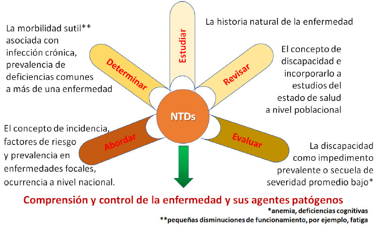 Figura 2. Relación entre la investigación en salud y comprensión de las enfermedades