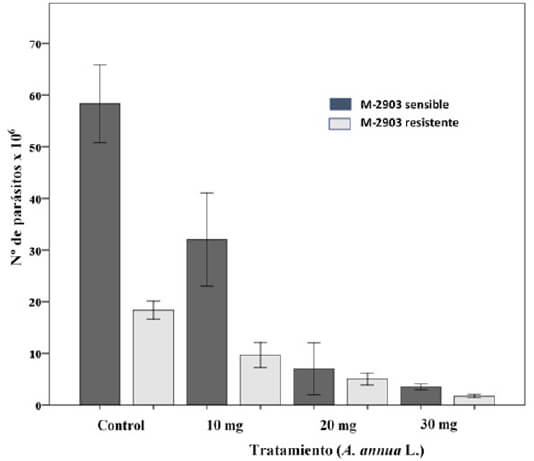 Figura 2. Comparación del efecto de A. annua en el crecimiento de M2903 sensible y resistente al Glucantime. Los parásitos fueron contados 72h después de iniciar el ensayo.