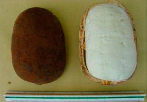 Copoazú o chocolate de Amazonas