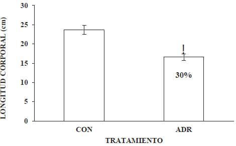 Gráfico 2