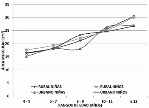 Gráfico 1: Composición corporal según Área muscular por género y edad en el grupo de estudio de área rural y área urbana