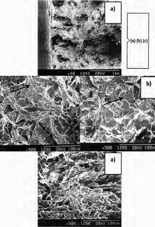 Figura 17. Fractografias por MEB mostrando la superficie de una probeta ensayada por impacto (- 40ºC) del acero con Nb (ST): Vista general del entalle. Detalle en el centro de la superficie fracturada: “Dimples” (D) y planos clivados (PC). Detalle en la zona opuesta al entalle.