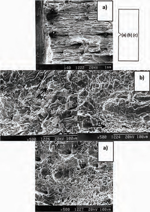 Figura 18. Fractografias por MEB mostrando la superficie de una probeta ensayada por impacto (- 40ºC) del acero con Nb (ST): Vista general del entalle. Detalle en el centro de la superficie fracturada: “Dimples” (D) y planos clivados (PC). Detalle en la zona opuesta al entalle.