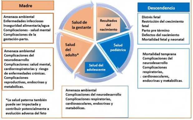 Figura 1. El ciclo de impactos en la salud después de exposiciones relacionadas con el clima durante el embarazo Ref 6: Ha S. 2022. Figura tiene copyright. Traducido por Ana Carvajal.